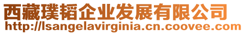 西藏璞韜企業(yè)發(fā)展有限公司