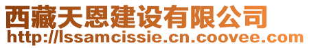 西藏天恩建設(shè)有限公司