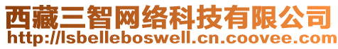 西藏三智網(wǎng)絡(luò)科技有限公司