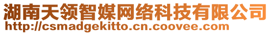 湖南天領(lǐng)智媒網(wǎng)絡(luò)科技有限公司