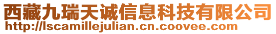 西藏九瑞天誠(chéng)信息科技有限公司