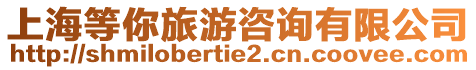 上海等你旅游咨詢(xún)有限公司