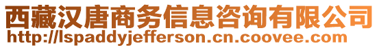 西藏漢唐商務(wù)信息咨詢有限公司