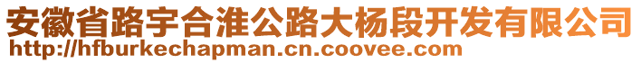 安徽省路宇合淮公路大楊段開(kāi)發(fā)有限公司