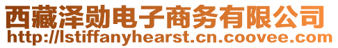 西藏澤勛電子商務(wù)有限公司