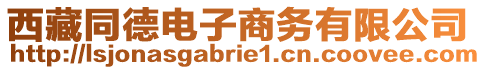 西藏同德電子商務(wù)有限公司