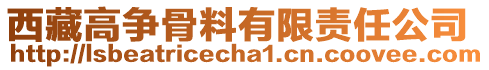 西藏高爭骨料有限責(zé)任公司