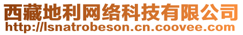 西藏地利網(wǎng)絡(luò)科技有限公司