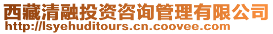 西藏清融投資咨詢管理有限公司