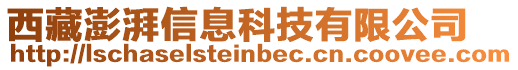 西藏澎湃信息科技有限公司