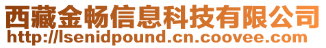 西藏金暢信息科技有限公司