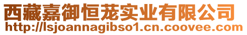 西藏嘉御恒蘢實(shí)業(yè)有限公司