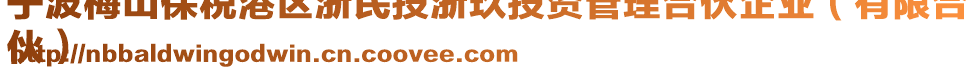 寧波梅山保稅港區(qū)浙民投浙玖投資管理合伙企業(yè)（有限合
伙）