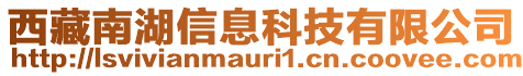 西藏南湖信息科技有限公司