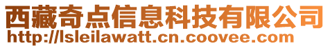 西藏奇點信息科技有限公司