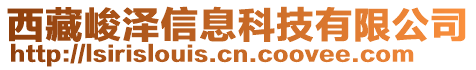 西藏峻澤信息科技有限公司