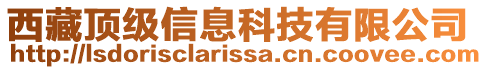 西藏頂級信息科技有限公司