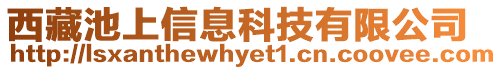 西藏池上信息科技有限公司