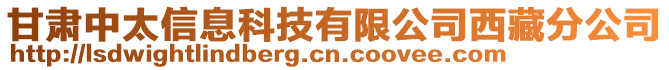 甘肅中太信息科技有限公司西藏分公司