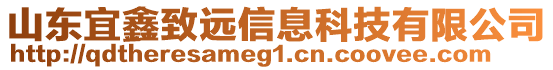 山東宜鑫致遠信息科技有限公司