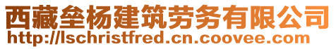 西藏壘楊建筑勞務(wù)有限公司