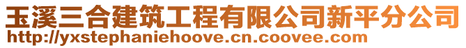 玉溪三合建筑工程有限公司新平分公司