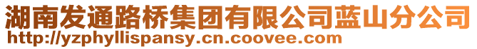 湖南發(fā)通路橋集團(tuán)有限公司藍(lán)山分公司