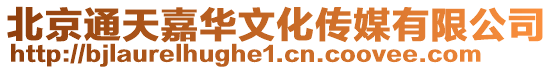 北京通天嘉華文化傳媒有限公司