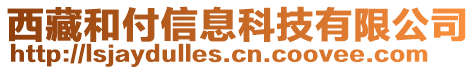 西藏和付信息科技有限公司