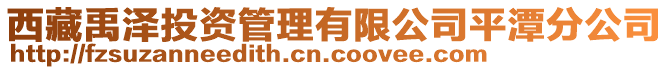 西藏禹澤投資管理有限公司平潭分公司