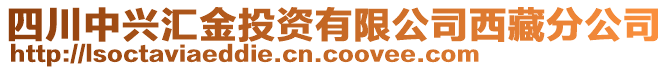 四川中興匯金投資有限公司西藏分公司