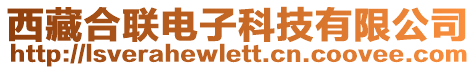 西藏合聯(lián)電子科技有限公司