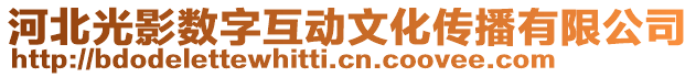 河北光影數(shù)字互動文化傳播有限公司