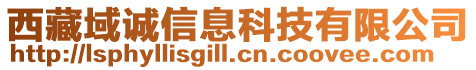 西藏域誠信息科技有限公司