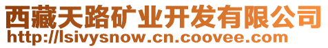 西藏天路礦業(yè)開發(fā)有限公司