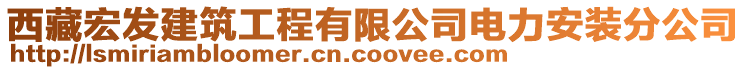 西藏宏發(fā)建筑工程有限公司電力安裝分公司