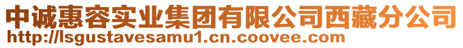 中誠惠容實業(yè)集團有限公司西藏分公司