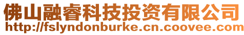 佛山融睿科技投資有限公司