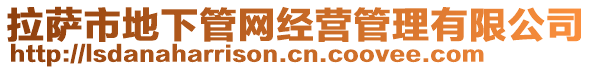 拉薩市地下管網(wǎng)經(jīng)營(yíng)管理有限公司