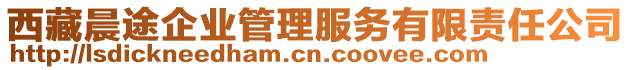 西藏晨途企業(yè)管理服務(wù)有限責(zé)任公司