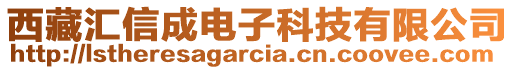 西藏匯信成電子科技有限公司