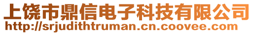 上饒市鼎信電子科技有限公司