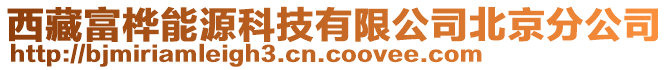 西藏富樺能源科技有限公司北京分公司