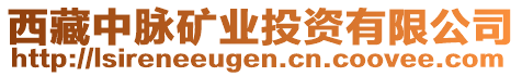 西藏中脈礦業(yè)投資有限公司