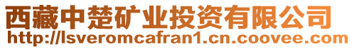 西藏中楚礦業(yè)投資有限公司