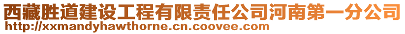 西藏勝道建設工程有限責任公司河南第一分公司