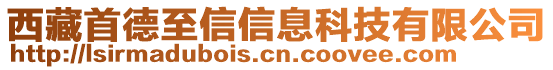 西藏首德至信信息科技有限公司