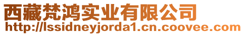 西藏梵鴻實(shí)業(yè)有限公司