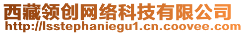 西藏領(lǐng)創(chuàng)網(wǎng)絡(luò)科技有限公司