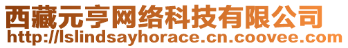 西藏元亨網(wǎng)絡(luò)科技有限公司